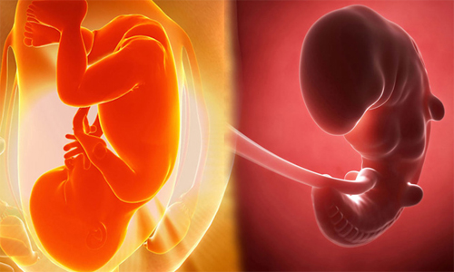 Obstetrics Gynaecology and Treatment in Indore