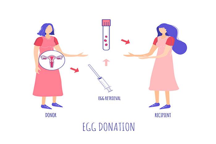 IVF with Donor Egg